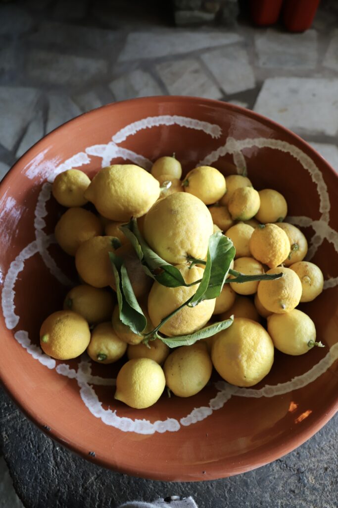 bowl of lemons melisses