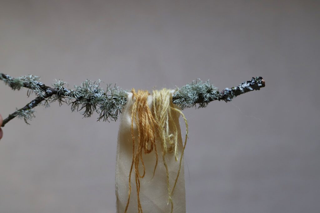 natural dyeing with lichen
