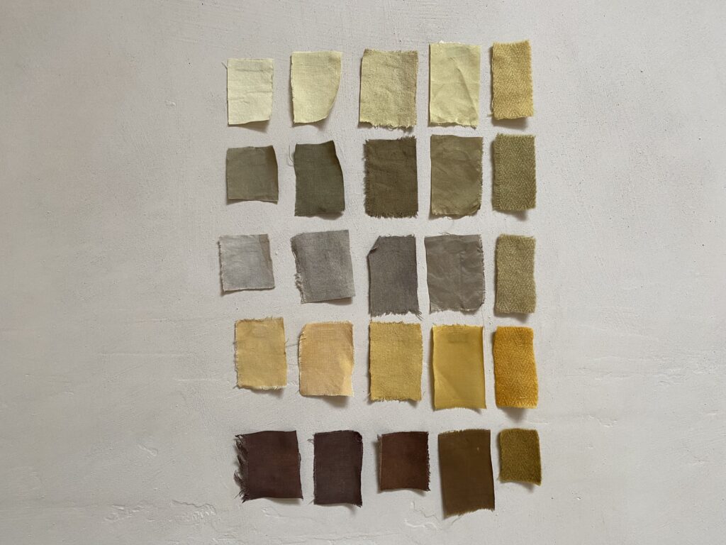 natural dyeing with gorse