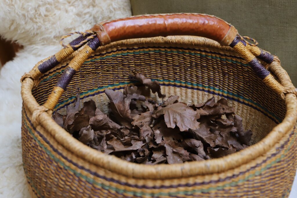 natural dyeing with oak leaves 