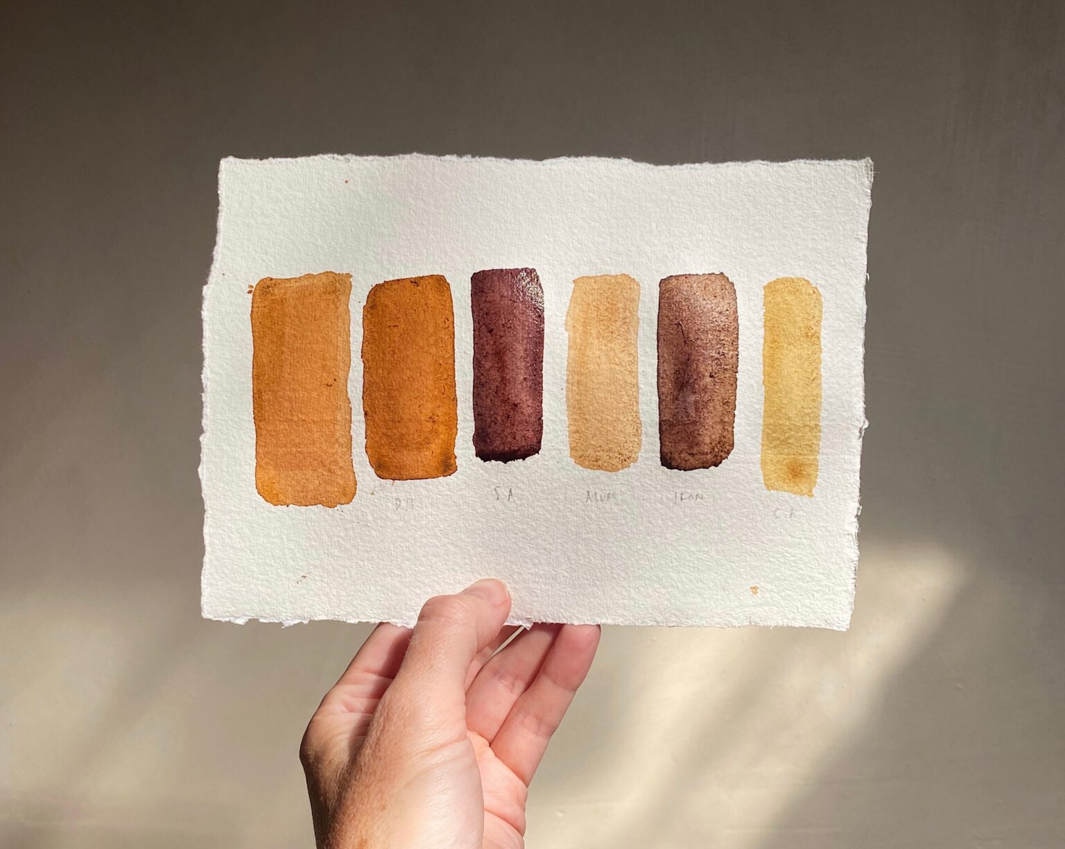 Make Natural Inks & Paints From Plants