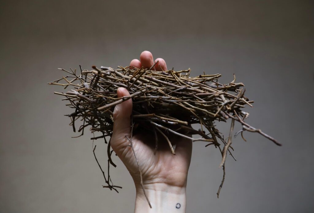 natural dye sources twigs in hand
