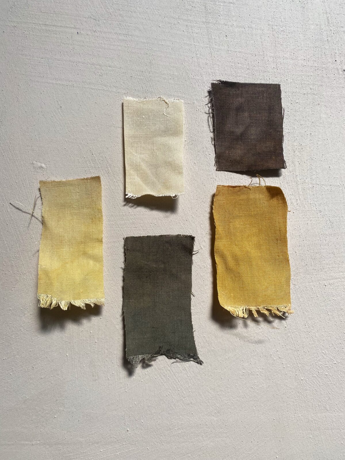 6 Surprising Sources of Plant Dye - Natural Ash Natural Dye Plant