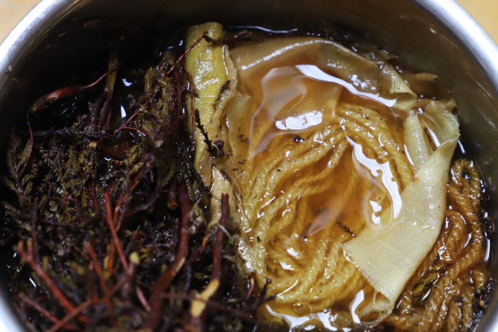 natural dyeing with heather 