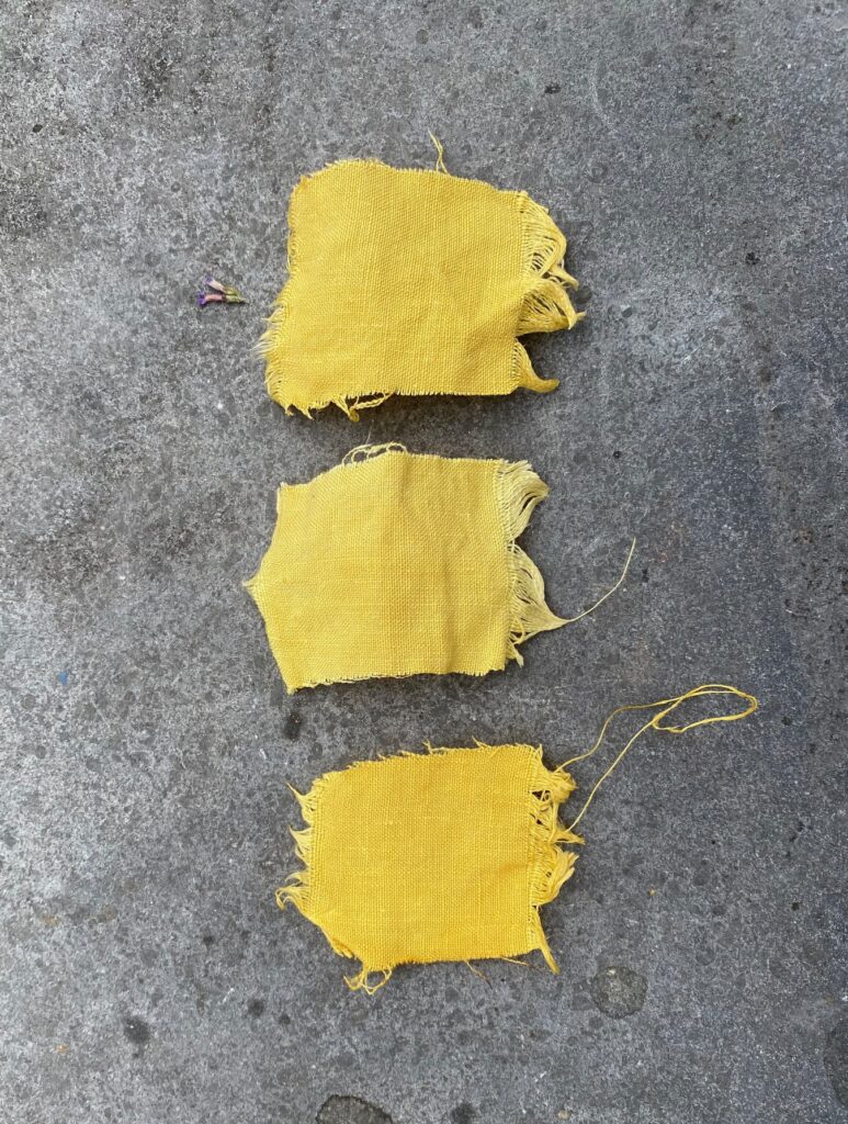 Vibrant yellows from Buddleia dye
