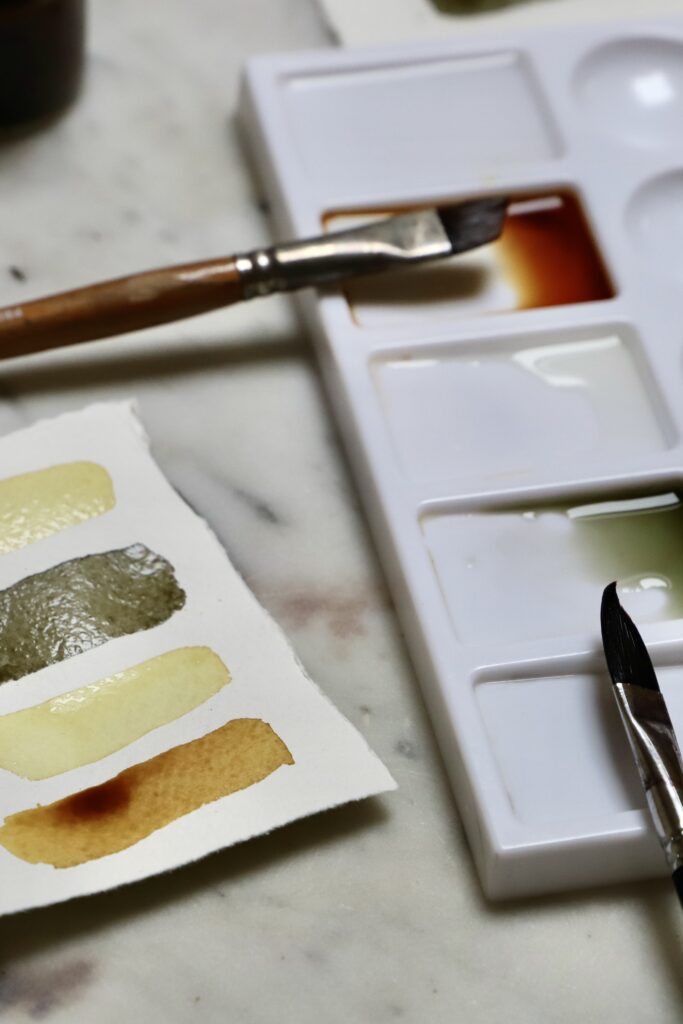 Natural dye paint swatches in yellow and orange & olive shades from Coreopsis flowers
