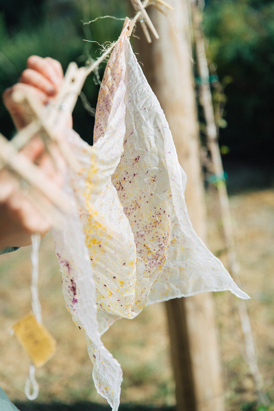 Natural dyeing greece
